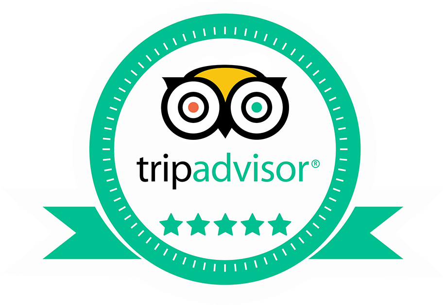 Tripadvisor Reviews